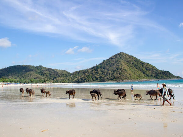 Pantai Selong Belanak