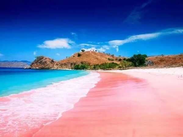 Pink Beach Lombok